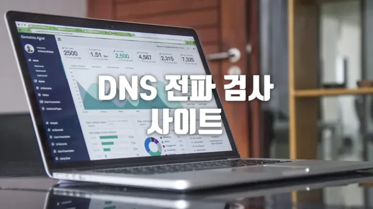 전 세계 DNS 전파 검사 사이트