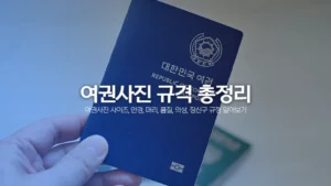 여권사진 규격 규정 총정리