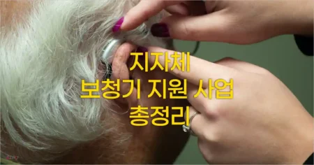 노인 보청기 지원 지자체 사업 정보와 지원금 안내