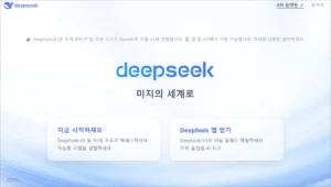 DeepSeek 딥시크 홈페이지 바로가기 www.deepseek.com