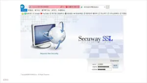 한국원자력환경공단 VPN 접속 방법 및 이용 안내 (https://121.151.154.222)